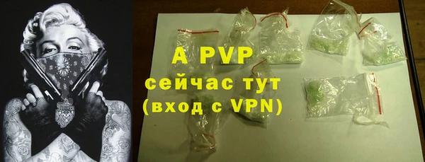 гашик Белокуриха