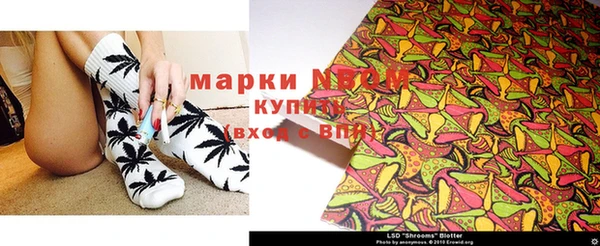 гашик Белокуриха