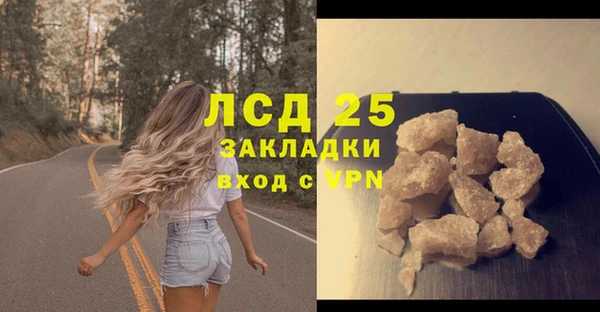 гашик Белокуриха