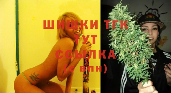 гашик Белокуриха