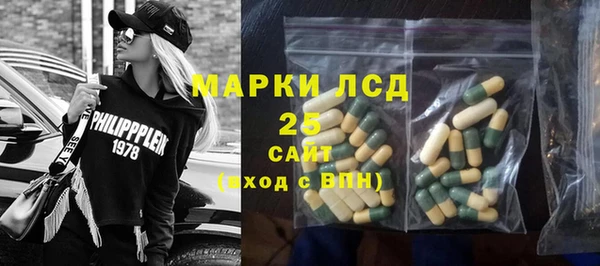 сатива Строитель