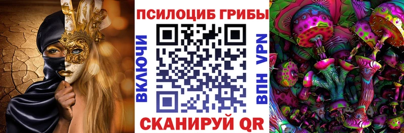 Псилоцибиновые грибы мицелий Губкинский