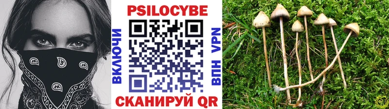 Галлюциногенные грибы MAGIC MUSHROOMS  мега   Губкинский 