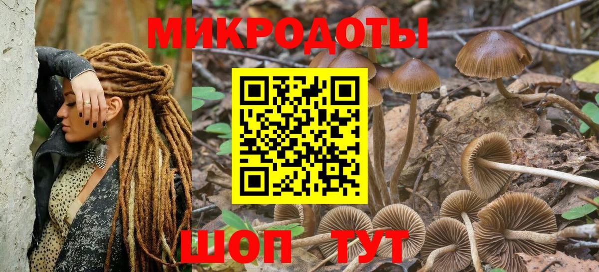 Псилоцибиновые грибы ЛСД Губкинский