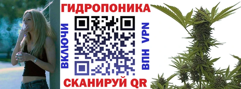 Конопля VHQ  купить закладку  Губкинский 